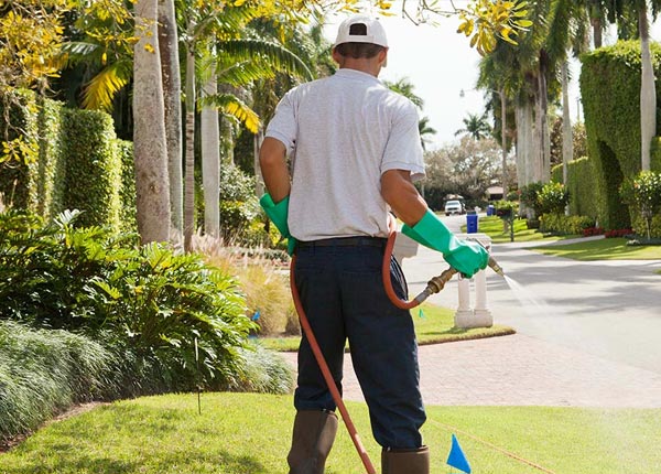 About Wiggins CO Pest Control